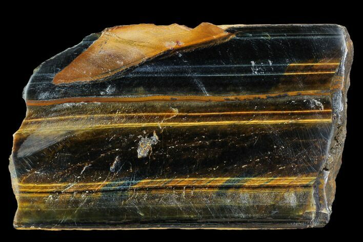 Polished Tiger's Eye Section - South Africa #128477